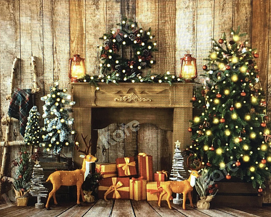 November 20th, 2025-Cape Horn Elementary School-Holiday Family Portrait Fundraisers