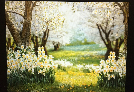 April 14th, 2026-Thomas Kidd Elementary-Spring Family Portrait Fundraisers