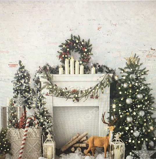 November 23rd, 2025-Scouting Group-Holiday Family Portrait Fundraisers